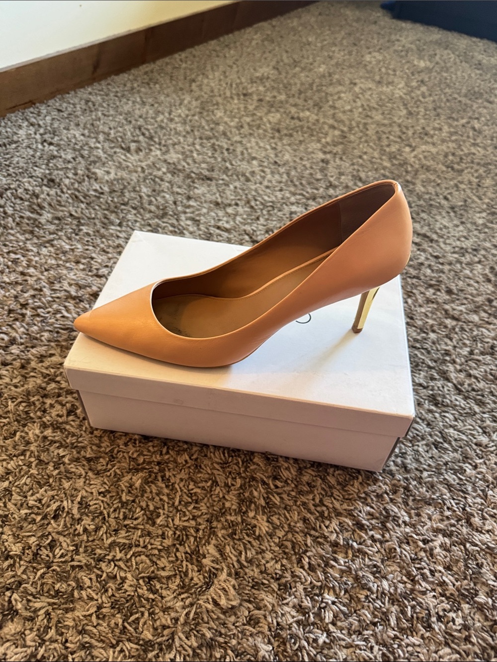 Calvin Klein Peach Pointed-Toe Stiletto with Gold Heel